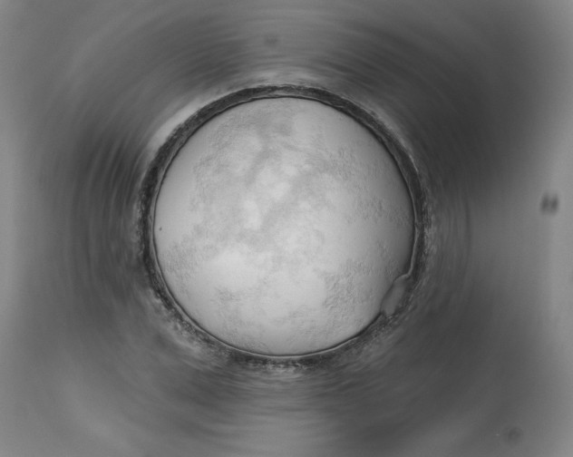 X0000113130975200909251235