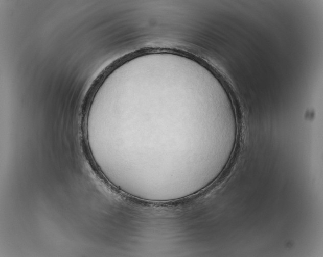 X0000113130976200909251235