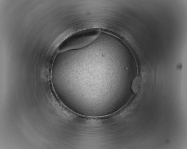 X0000113130977200909251235