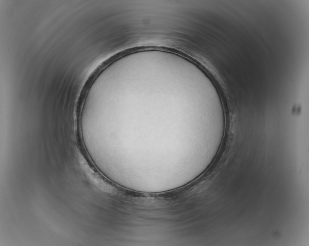 X0000113130980200909251235