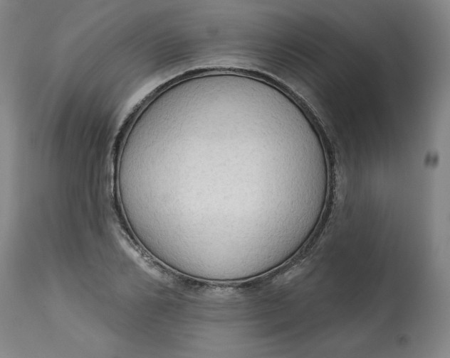 X0000113130982200909251235