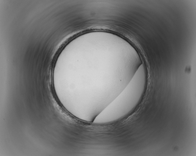 X0000113130984200909251235