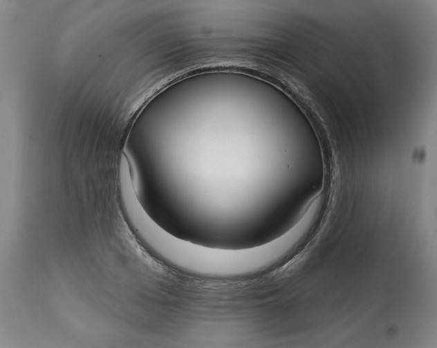 X0000113130985200909251235