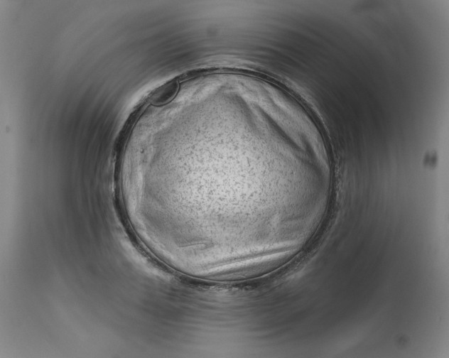 X0000113130987200909251235