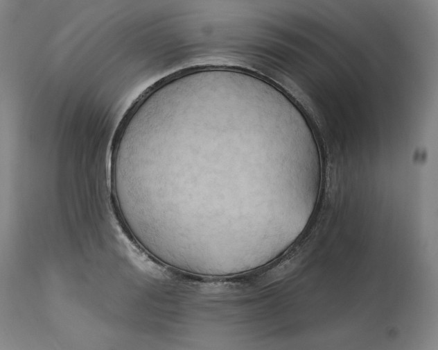 X0000113130988200909251235