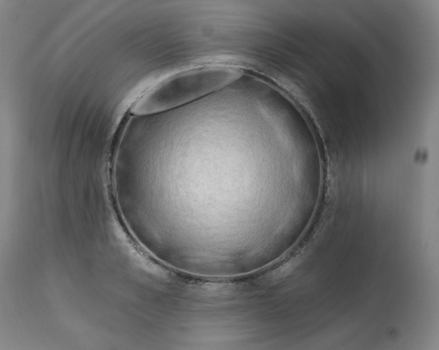 X0000113130989200909251235