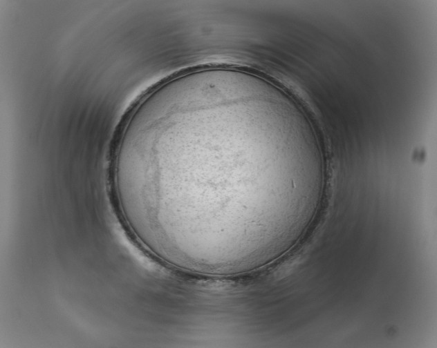 X0000113130991200909251235