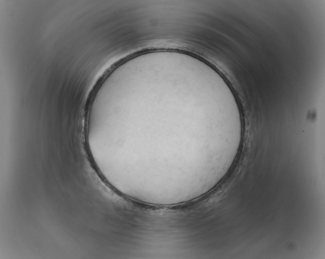 X0000113130992200909251235