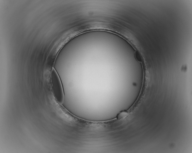 X0000113130993200909251235