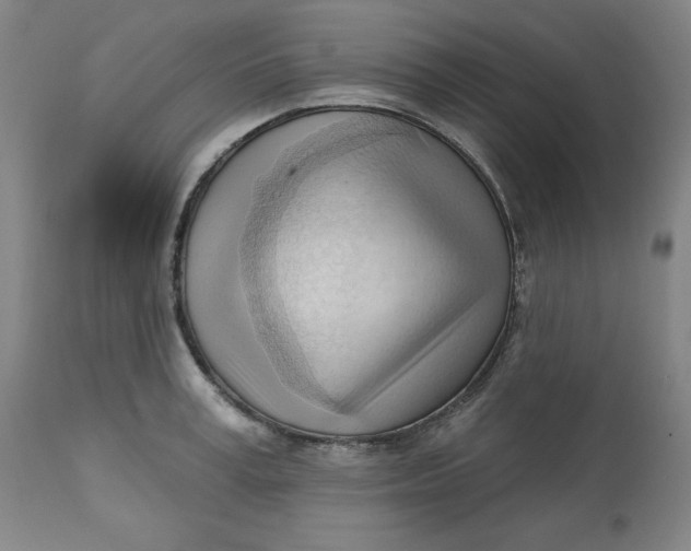 X0000113130995200909251235