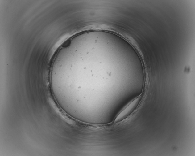 X0000113130997200909251235