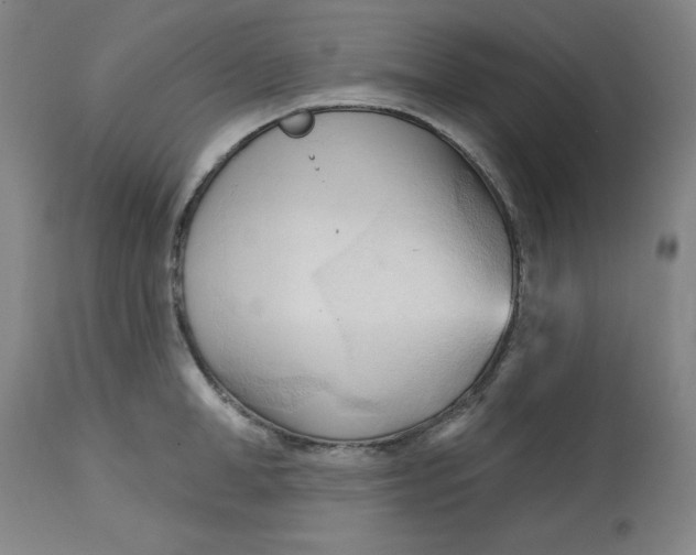 X0000113130998200909251235