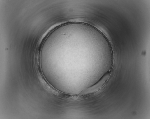 X0000113131000200909251235