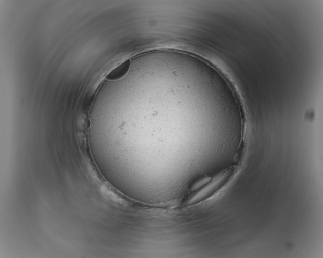 X0000113131001200909251235