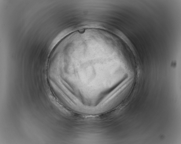 X0000113131002200909251235