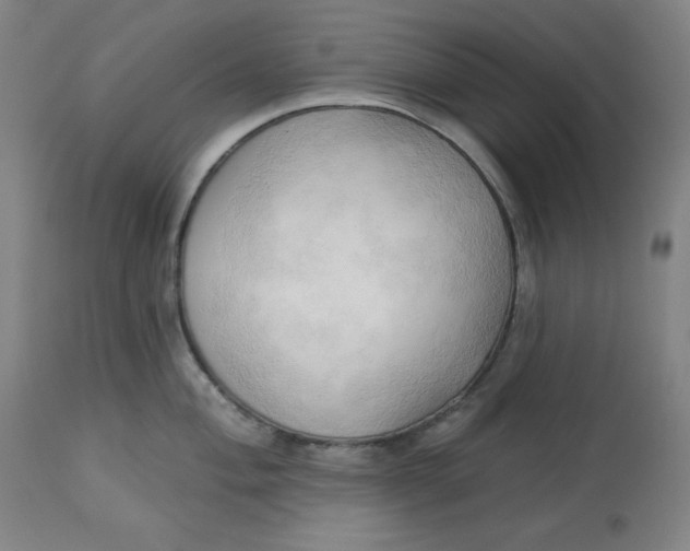 X0000113131004200909251235