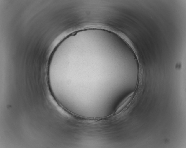 X0000113131005200909251235