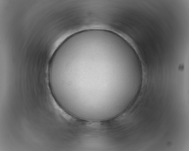 X0000113131006200909251235