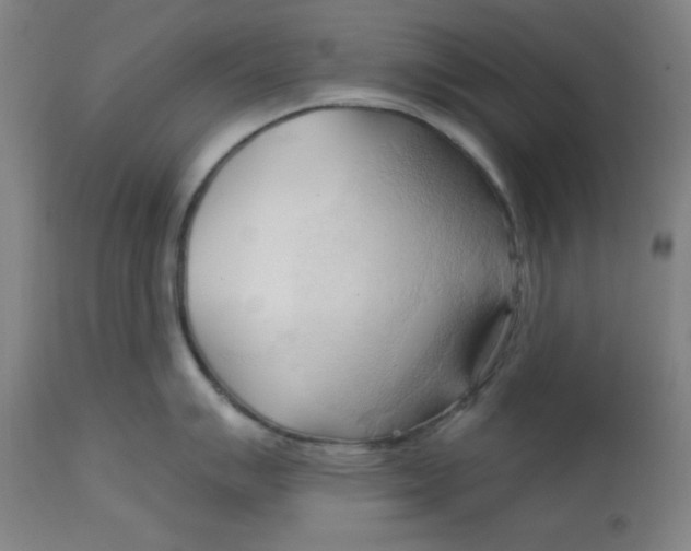 X0000113131007200909251235