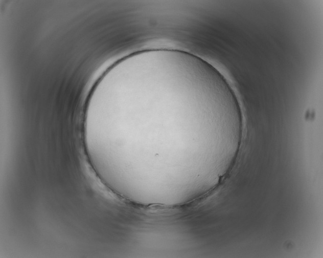 X0000113131008200909251235