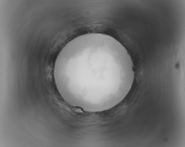 X0000113131010200909251234