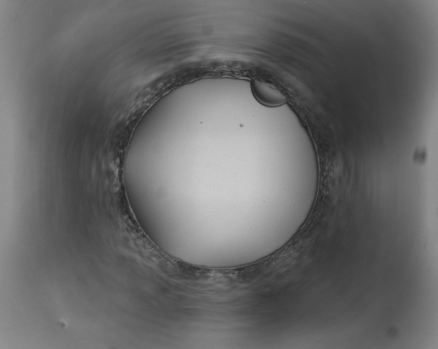 X0000113131013200909251234