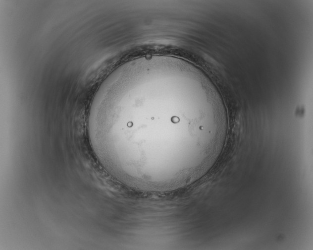 X0000113131014200909251234