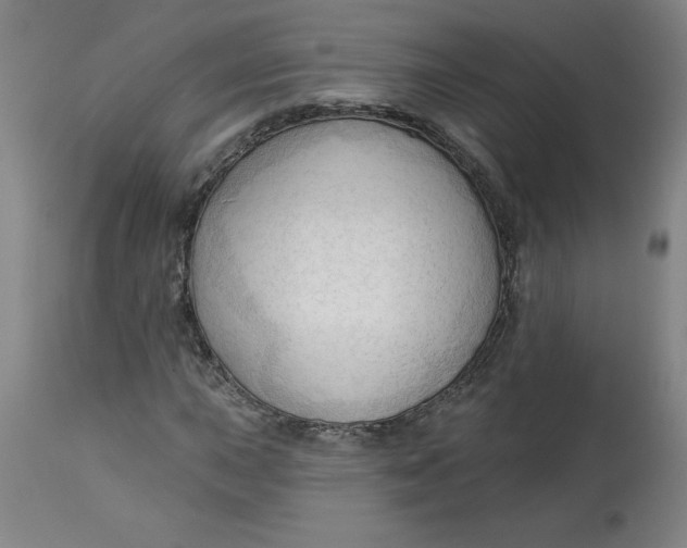 X0000113131015200909251234