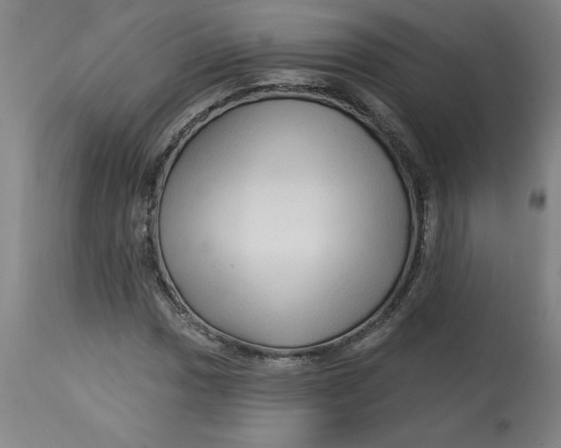 X0000113131017200909251234