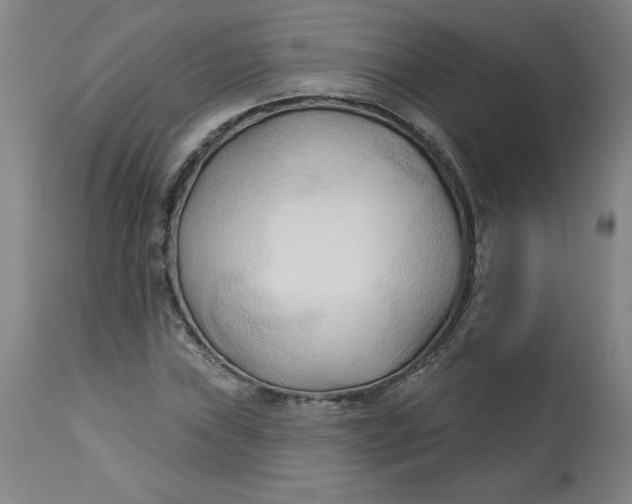 X0000113131019200909251234