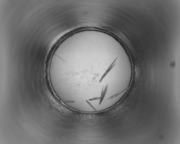 X0000113131020200909251234