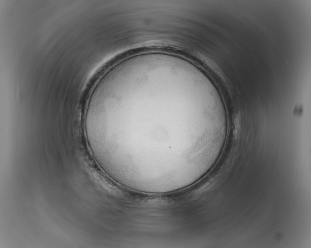 X0000113131021200909251234