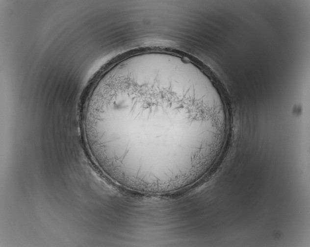 X0000113131022200909251234