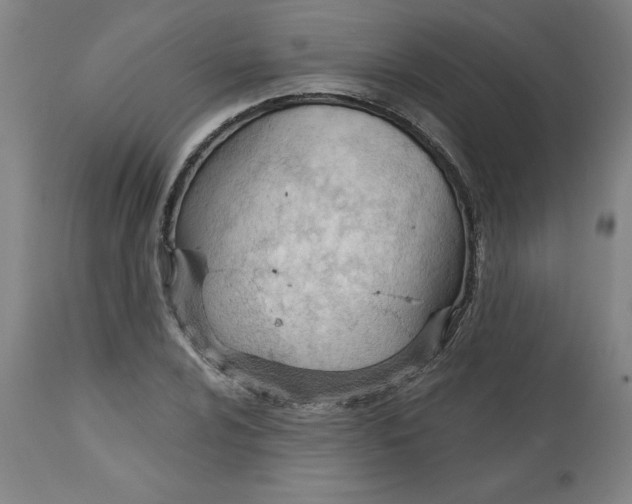 X0000113131024200909251234