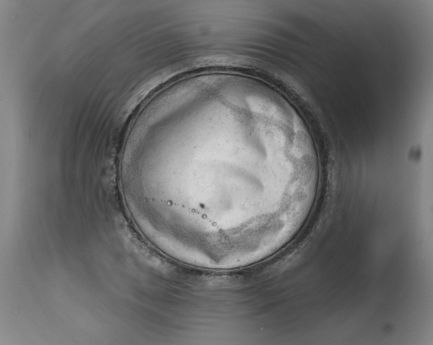 X0000113131025200909251234