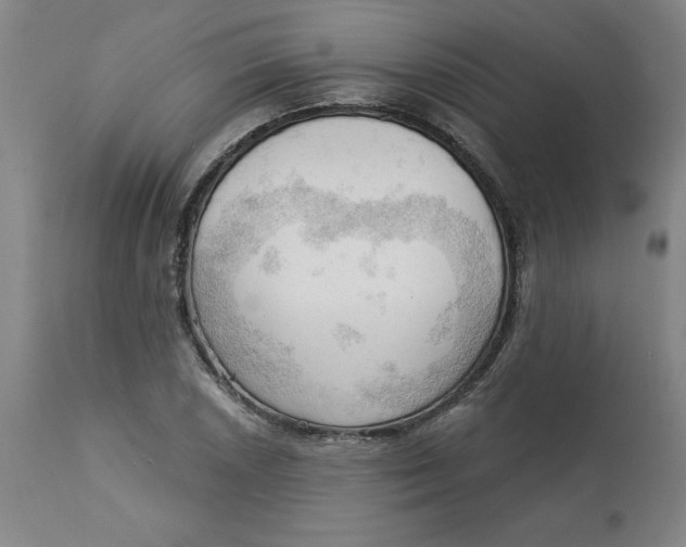 X0000113131026200909251234