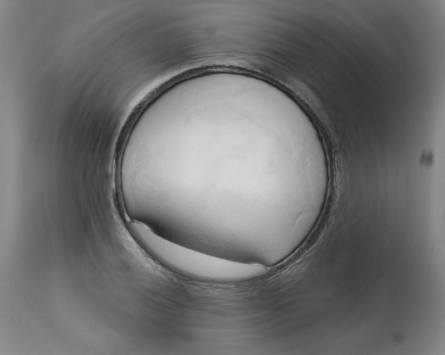 X0000113131028200909251234