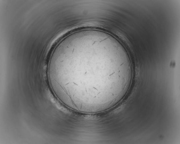 X0000113131029200909251234