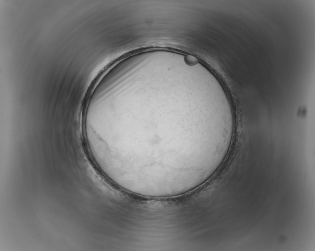 X0000113131032200909251234