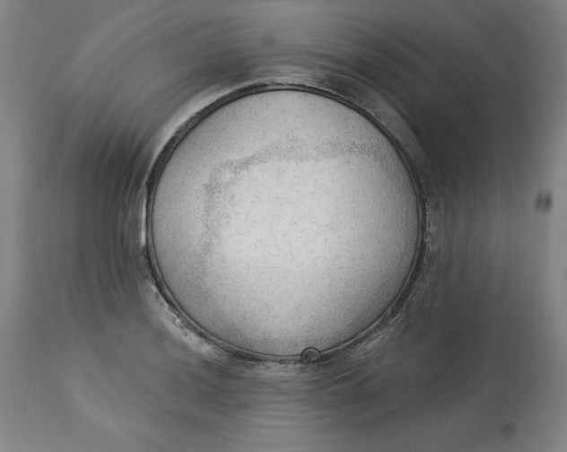 X0000113131036200909251234