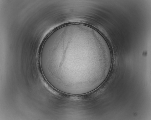 X0000113131037200909251234