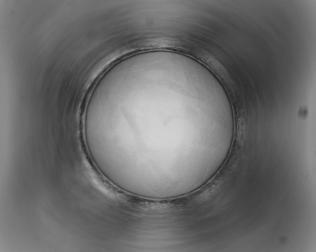 X0000113131039200909251234