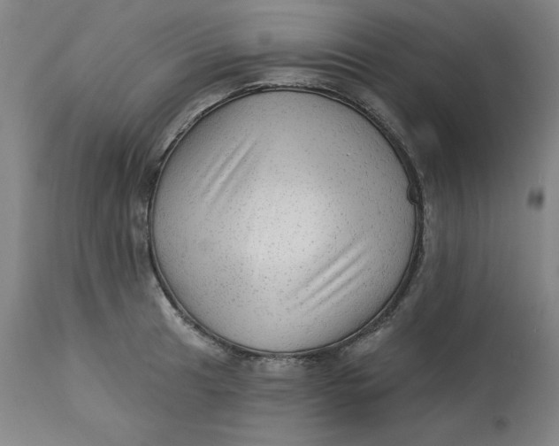 X0000113131041200909251234