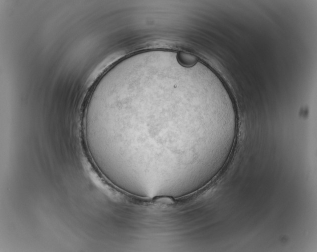 X0000113131042200909251234