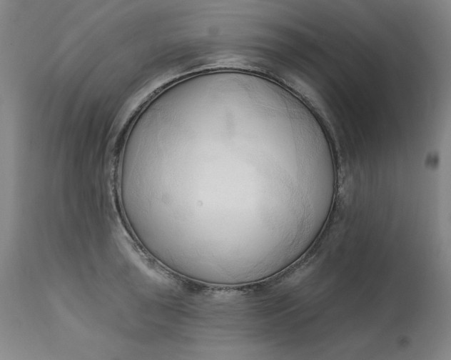 X0000113131043200909251234