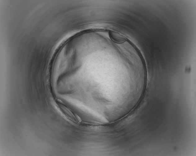 X0000113131045200909251235