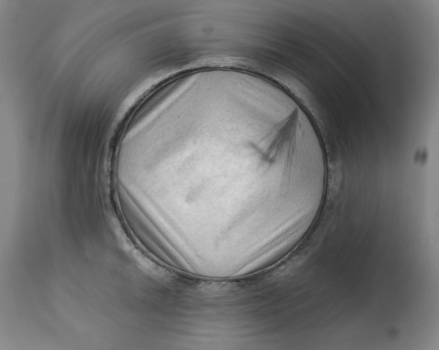 X0000113131046200909251235