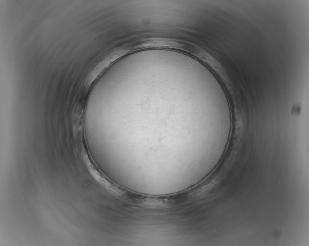 X0000113131049200909251235