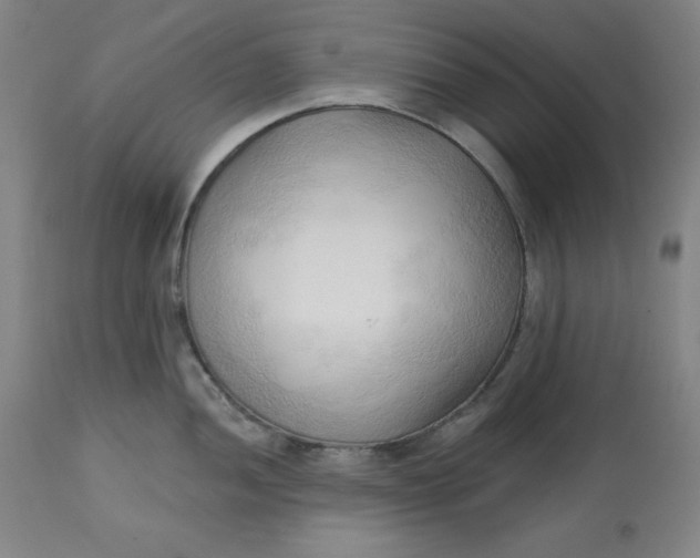 X0000113131052200909251235