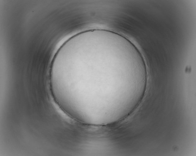 X0000113131056200909251235